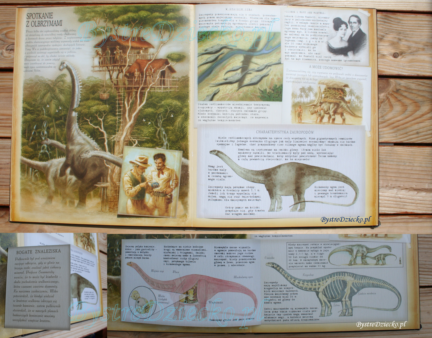 Książki dla dzieci o dinozaurach autorstwa - Dinozaurologia - w poszukiwaniu Zaginionego Świata