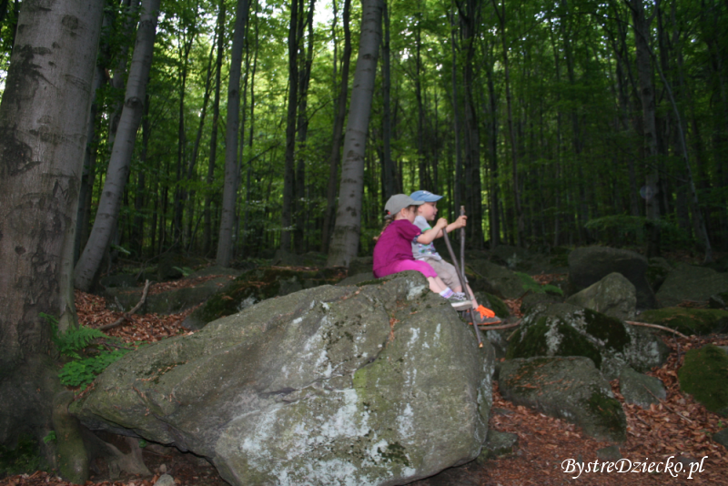 Aktywny wypoczynek w górach na szlakach Ślęży - tanie wycieczki po Polsce z dzieckiem
