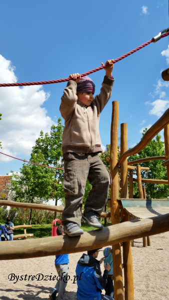 Małpi gaj - Plac zabaw dla dzieci we Wrocławiu w Parku Klecińskim