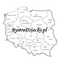 Mapa konturowa Polski z podziałem na województwa do wydrukowania