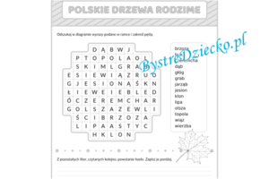 Wykreślanka - polskie drzewa rodzime - drzewa liściaste - karty pracy dla dzieci - przyroda
