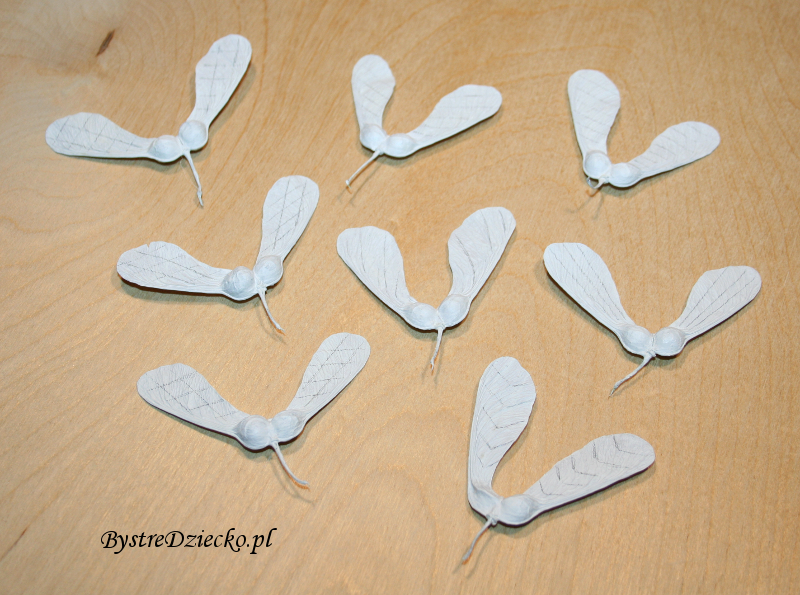 DIY Czarno-białe owady z darów natury - nasiona klonu - klon jawor w ramach prac plastycznych dla dzieci