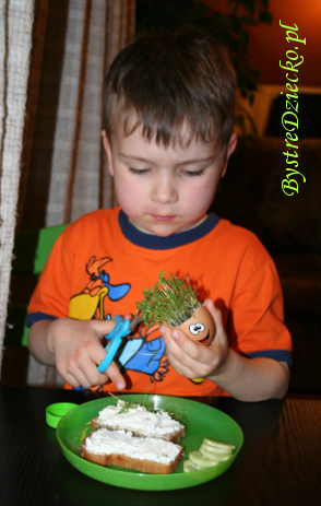 Rzeżucha w skorupce jajka - dekoracje wielkanocne w czasie zajęć plastycznych dla dzieci